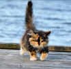 upload_2024_01_29_22_45_38_873.webp