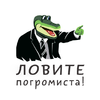 11.webp 11.webp