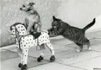h4qw.webp