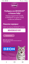 Screenshot_20240202-155446.webp