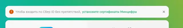 14.webp