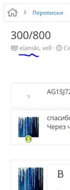 14.webp