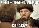 41547182_df18fc53687eaaa120e97f7aa8af85d4_800.webp