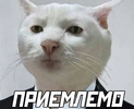 123.webp