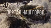 link.webp