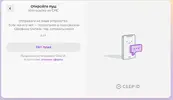 241.webp