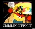 i.webp