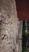 1707849020373.webp