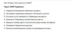 qiwi.webp