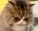 vxWjYylLeY4.webp
