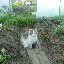 Котик Игорь.webp
