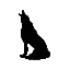 fDzhlorp36E.webp