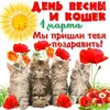 1666315618_20-mykaleidoscope-ru-p-vsemirnii-den-koshek-otkritki-krasivo-20.webp