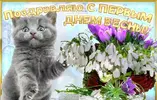 97c2f4bc558c560c08caa4f55a7b82d8.webp