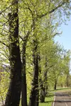 IMG_0105rjgbz.webp