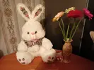 IMG20240308210109.webp