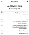 Screenshot_20240310-154157_Binance.webp