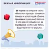 8.webp