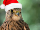 94714.webp