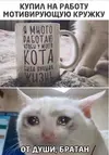 kartinki-prikoly-smeshnye-do-slez-9.webp