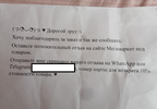 14.webp