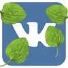2567998465.webp
