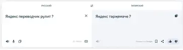 11111.webp