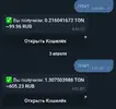 20240403_183841.webp