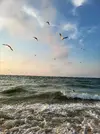 20230816_185935.webp