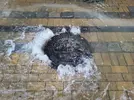 20230818_094918.webp