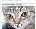 Screenshot_1.webp