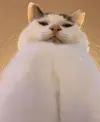 3MevxtKbIg4.webp 3MevxtKbIg4.webp
