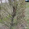 IMG_20240422_180404.webp