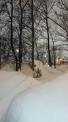 1708020118634.webp