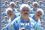 wat.webp