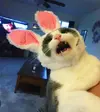 149276727218296319.webp