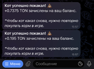 C74D347E-E760-4DD1-B651-3E7BF83456F8.webp