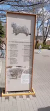 IMG_20240420_131847.webp