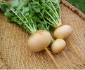 Screenshot_20240501-002201~2.webp