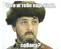 6R8U6SGwQ4H3l6C6sW4l5VuIMvs-960.webp