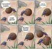 zUdwbYZo_nA.webp