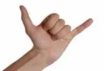11347252.webp