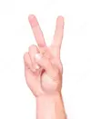 depositphotos_1712866-Males-hand-showing-two-finger.webp