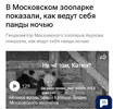 Screenshot_2024-05-03-07-22-40-270_com.android.browser.webp