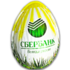 26.webp