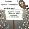 IMG-02bd6c03d89c3fc9734c5ec635a3deca-V.webp