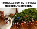 34.webp