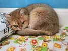 IMG-20240506-WA0001.webp