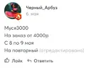 пиппер.webp