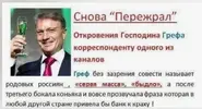 Скриншот 08-05-2024 130507.webp